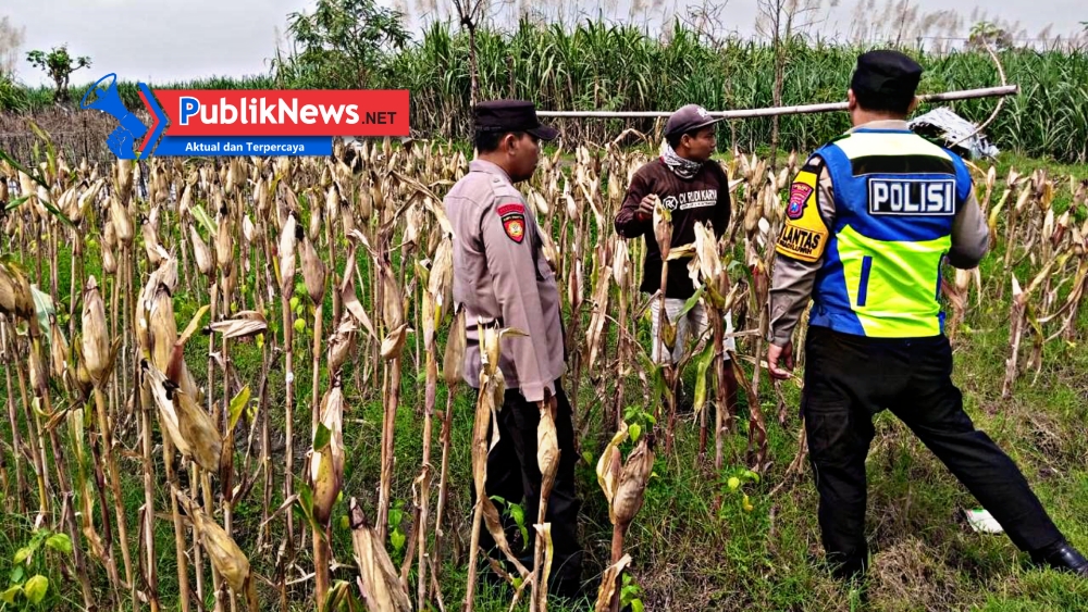 Perkuat Ketahanan Pangan, Polsek Ngadiluwih Bangun Sinergi Progresif dengan Petani