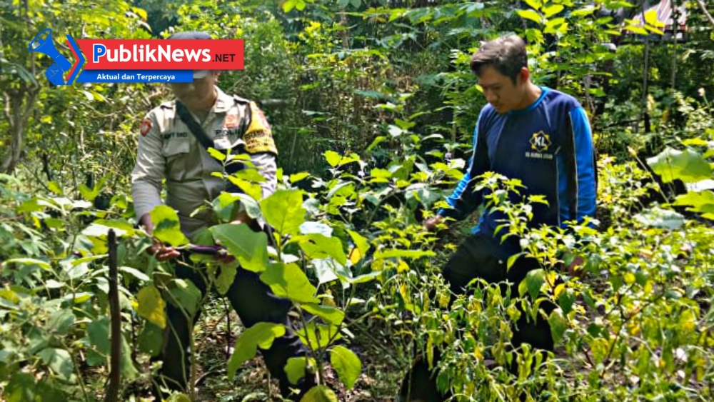 Warga Jatirejo Manfaatkan Pekarangan, Polres Nganjuk Dorong Ketahanan Pangan Berbasis Rumah Tangga