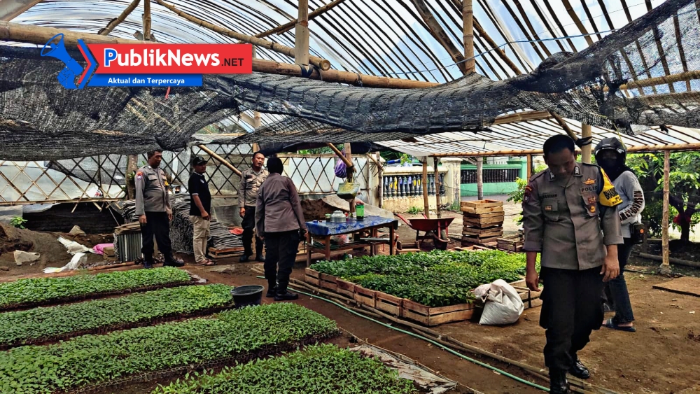 Polsek Kertosono Dukung Program Asta Cita Ketahanan Pangan Lewat Pembibitan Cabe dan Terong