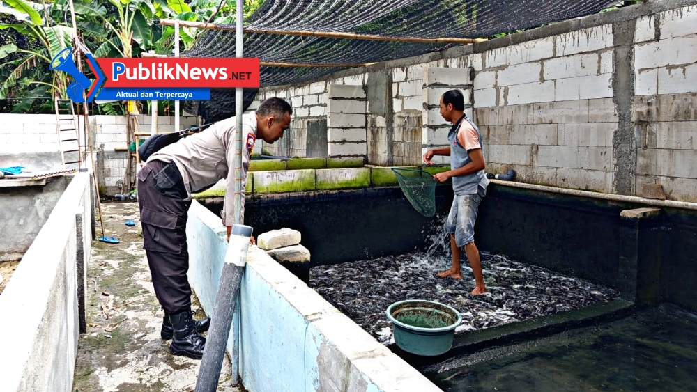 Polres Nganjuk Dukung Ketahanan Pangan Lewat Budidaya Ikan Lele dan Nila di Pekarangan Warga