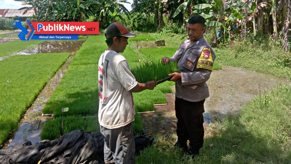 Polsek Ngronggot Serahkan Bibit Padi, Dorong Kemandirian Pangan Warga Trayang