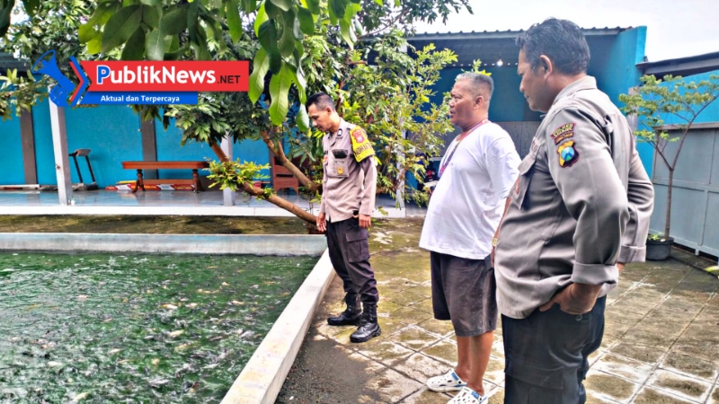 Budidaya Ikan Nila, Kolaborasi Bhabinkamtibmas dan Warga Pehserut Dukung Ketahanan Pangan
