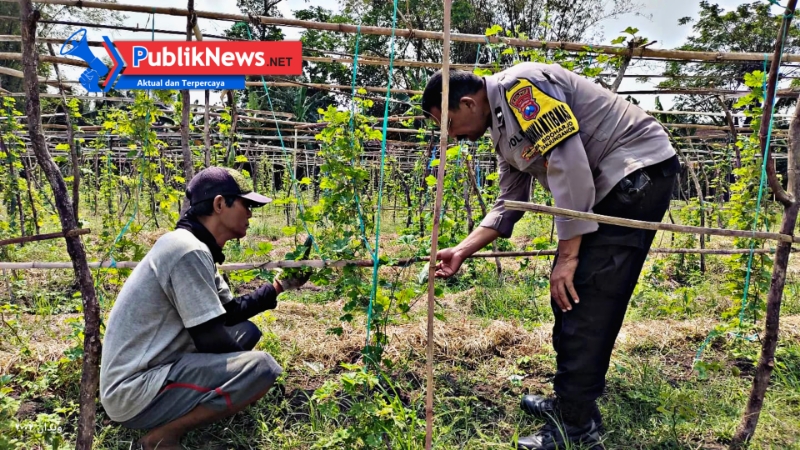 Pemanfaatan Lahan Pekarangan di Desa Sidoharjo Dukung Program Ketahanan Pangan
