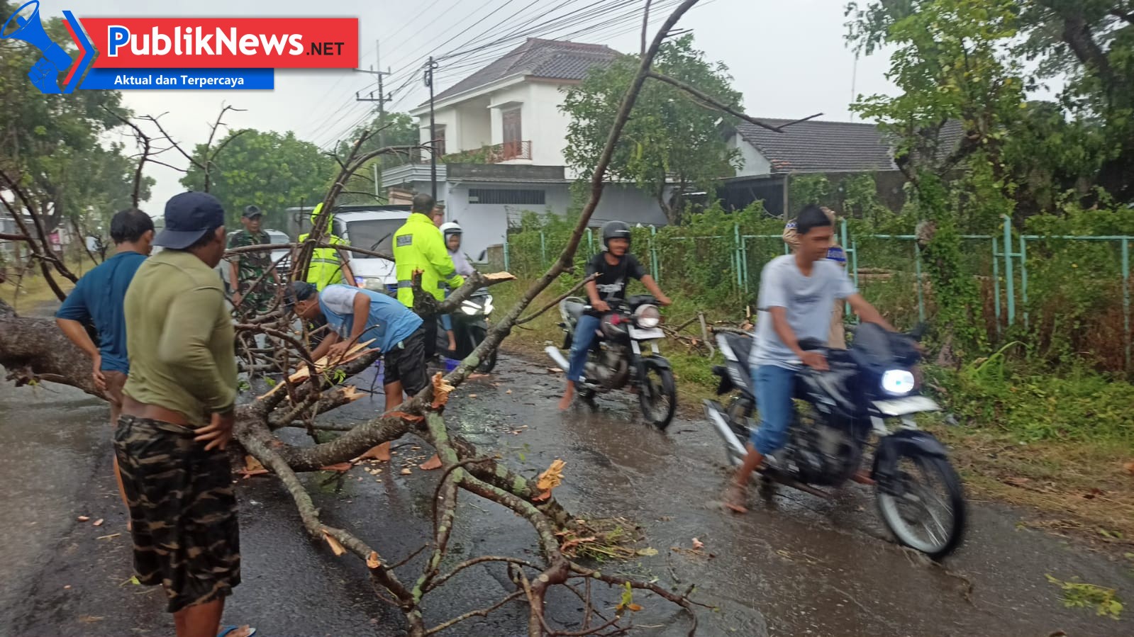 Polisi Sigap Tangani Pohon Tumbang di Jalan Raya Rejoso