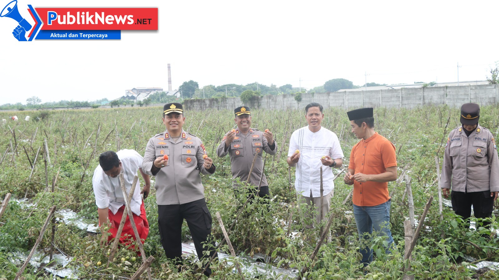 Kapolres Nganjuk Tinjau Panen Raya Tomat, Dukung Ketahanan Pangan dan Program MBG