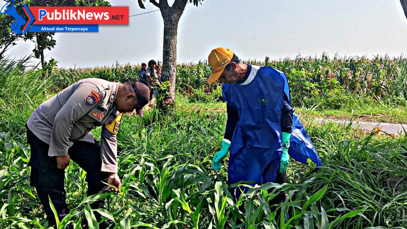 Polres Kediri Turun ke Sawah, Dampingi Petani Demi Wujudkan Swasembada Pangan