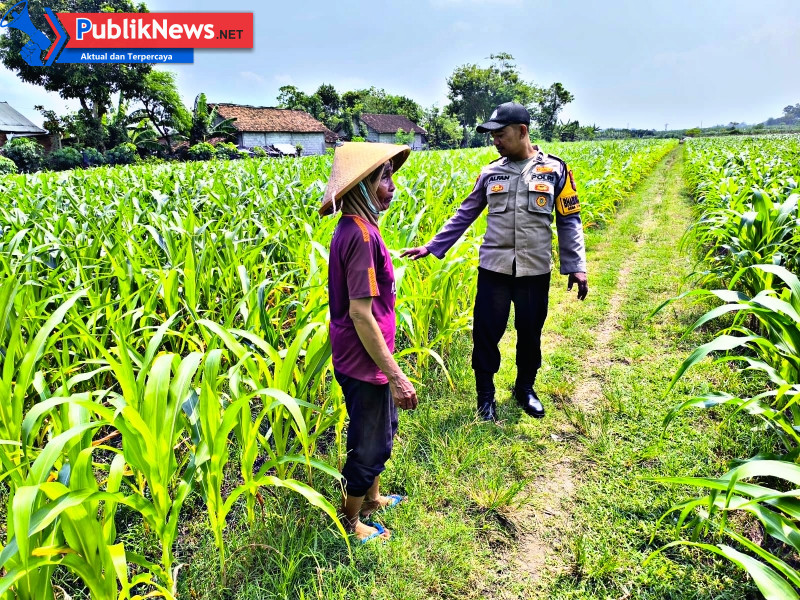 Bhabinkamtibmas Desa Rembang Kepuh Dampingi Petani Jagung, Antisipasi Gangguan Demi Jaga Produktivitas Panen