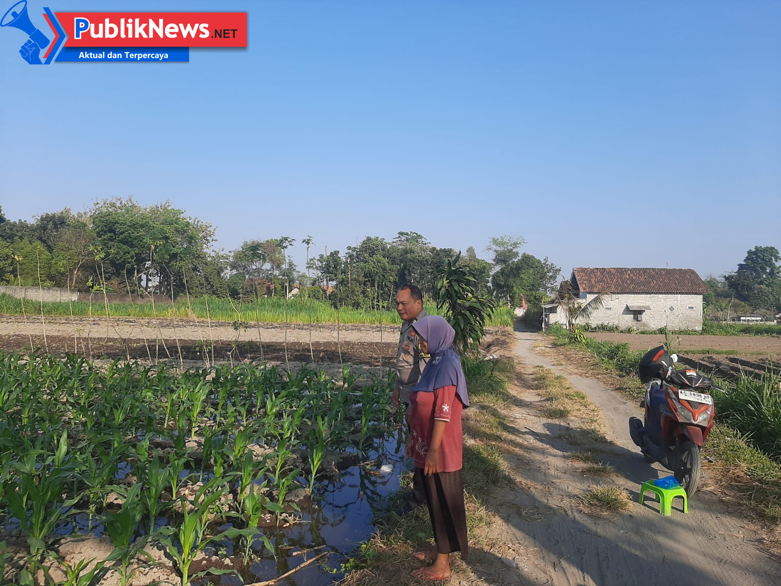 Polsek Wates Kawal Ketahanan Pangan Lewat Pendampingan Petani Jagung